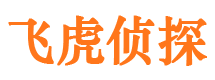 四川侦探公司